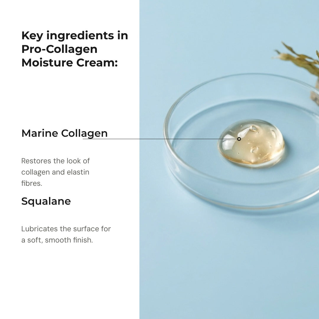 M2 — Pro-Collagen Moisture Cream