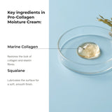 M2 — Pro-Collagen Moisture Cream