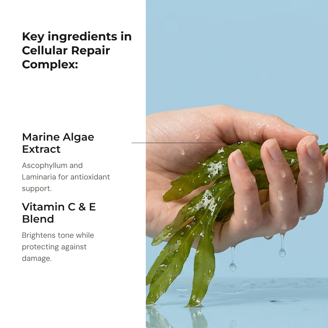 S4 — Cellular Repair Complex