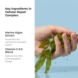 S4 — Cellular Repair Complex