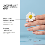 T1 — Pore Normalising Soothing Toner